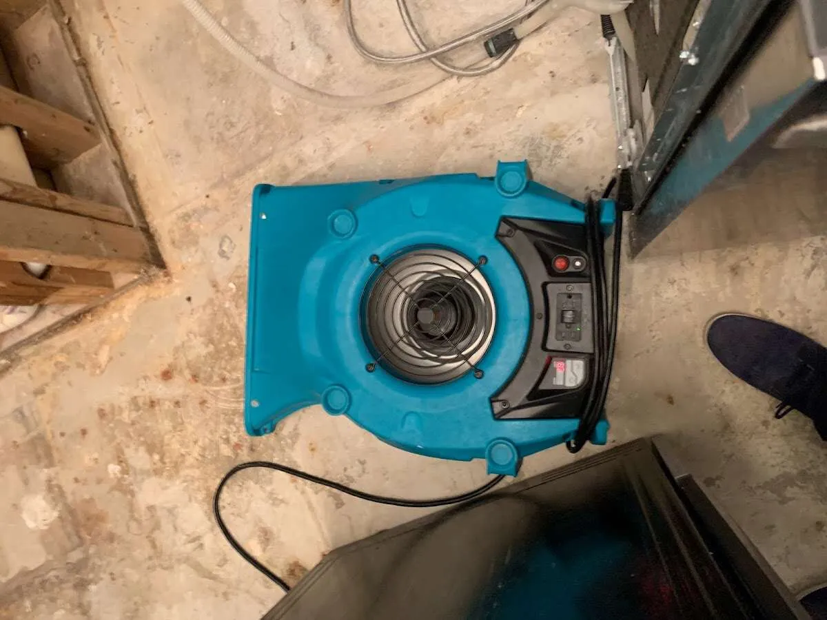 Air mover drying equipment for Mold Remediation & Removal in Hendersonville